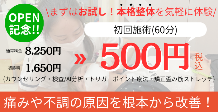 初回値段